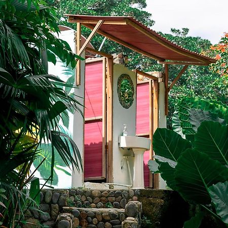 Magic Green Dentro Del Parque Tayrona Эль-Саино Экстерьер фото