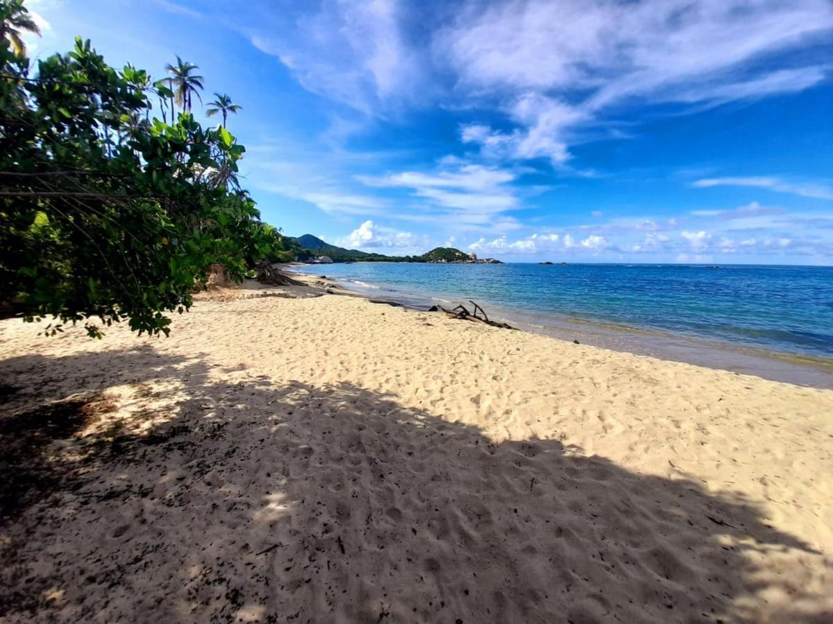 Magic Green Dentro Del Parque Tayrona Эль-Саино Экстерьер фото