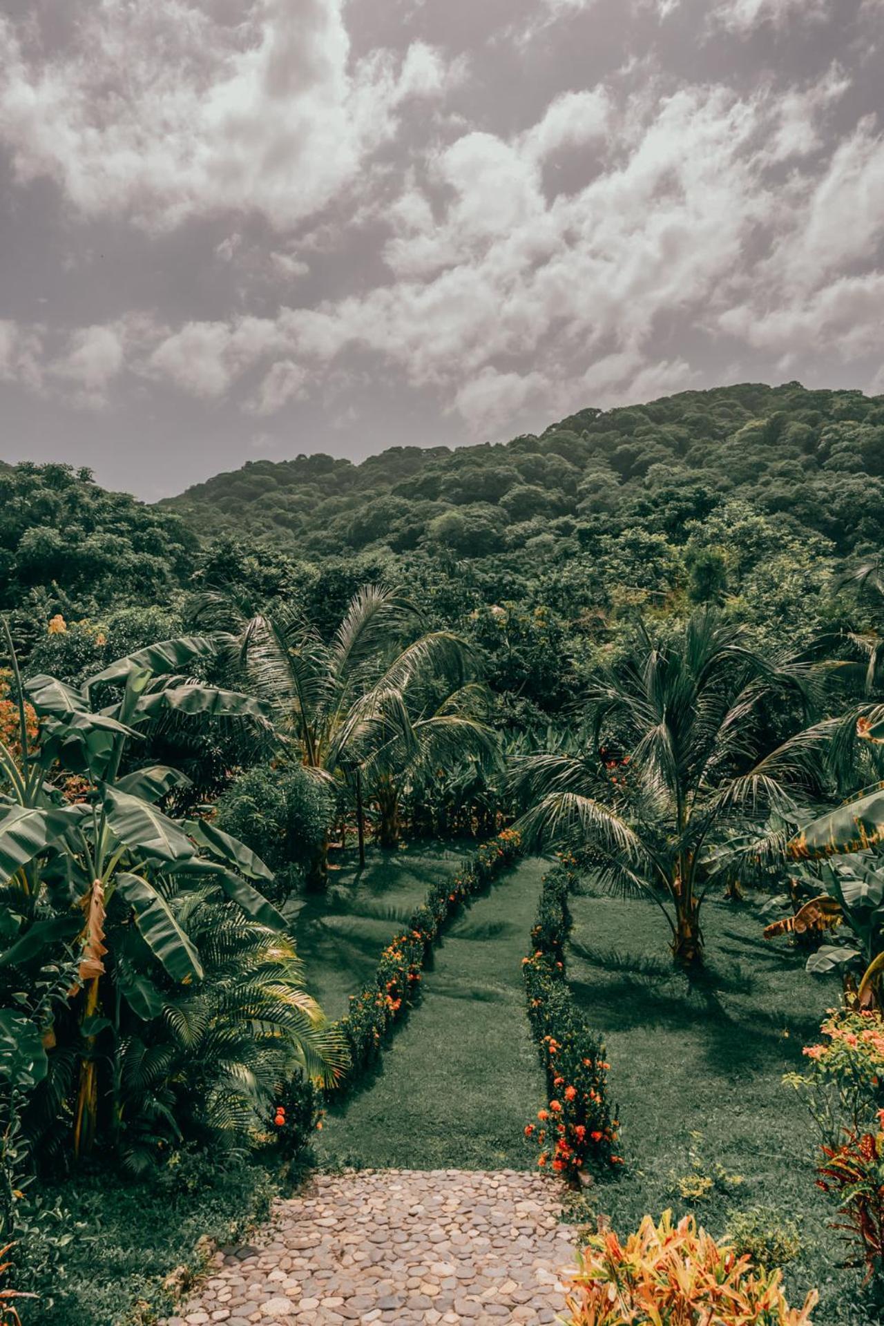 Magic Green Dentro Del Parque Tayrona Эль-Саино Экстерьер фото