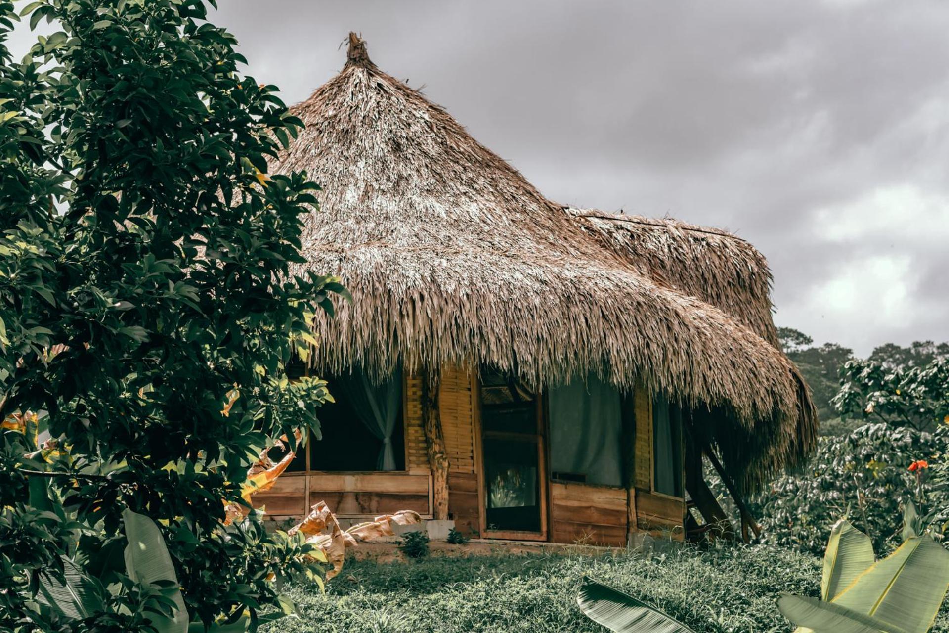 Magic Green Dentro Del Parque Tayrona Эль-Саино Экстерьер фото