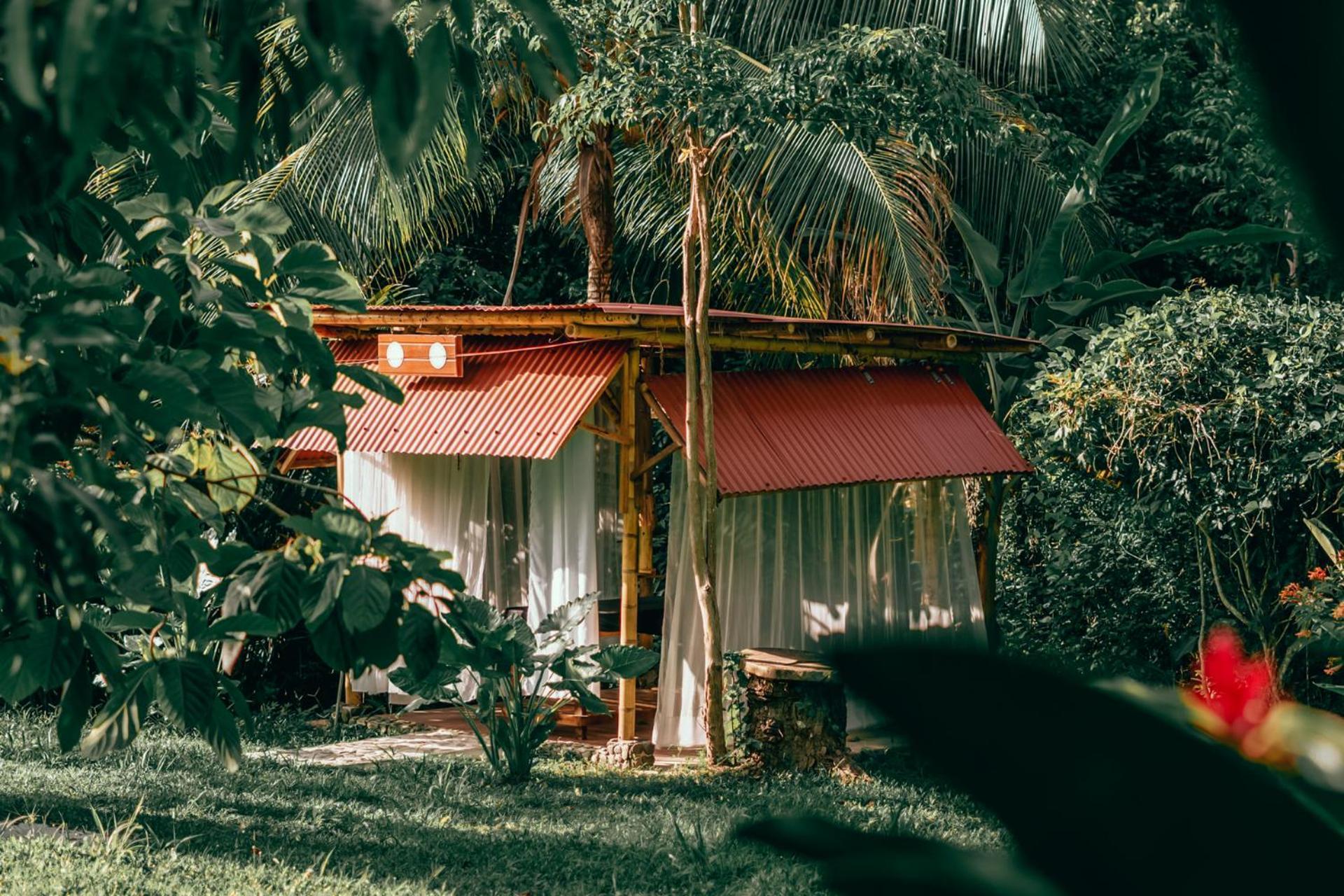 Magic Green Dentro Del Parque Tayrona Эль-Саино Экстерьер фото
